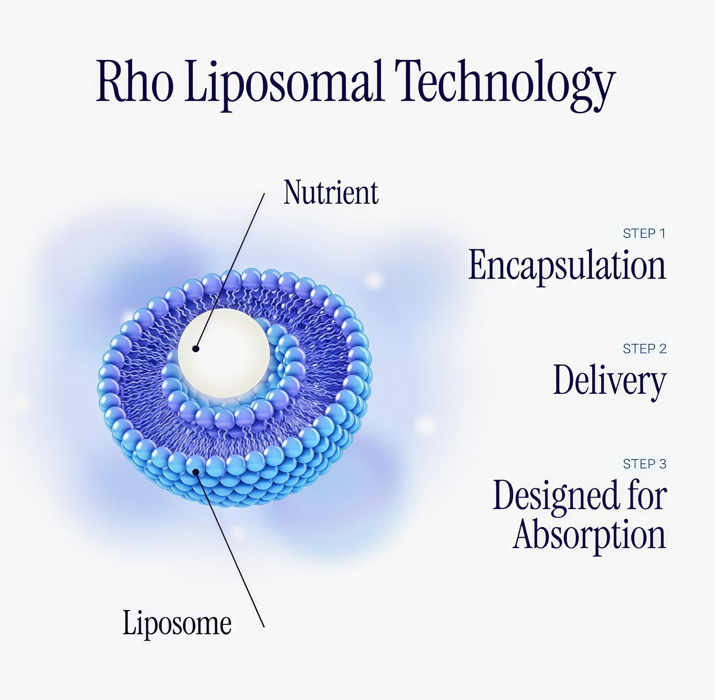Rho Nutrition Liposomal NAD+ – Liquid Supplement Designed to Help Support Absorption – Active Form of NAD+ Helps Support Normal Cellular Health, Healthy Aging, Energy Metabolism and Overall Vitality